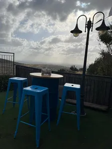 חביות בר בצבעים